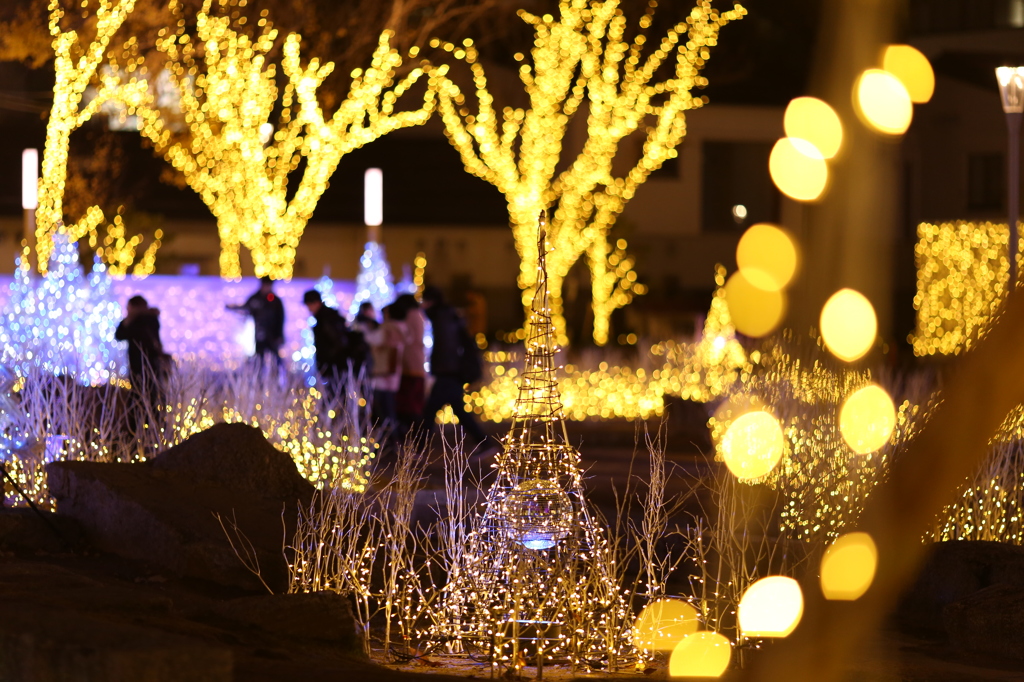 警固公園　夜景