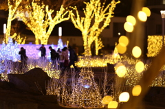 警固公園　夜景