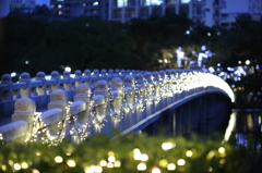 大濠公園ライトアップ