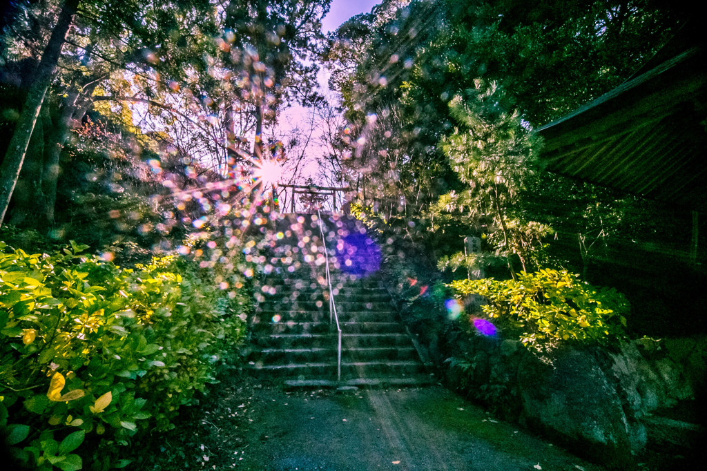 桜井神社　伊勢神宮