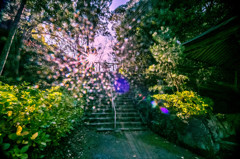 桜井神社　伊勢神宮
