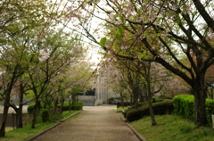 公園