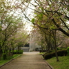 公園