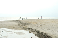 砂浜