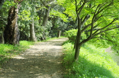 道