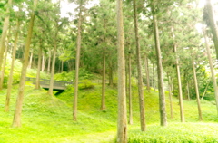 The secret road