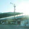 一本