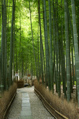 報国寺