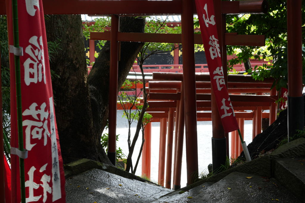 神社の階段