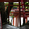 神社の階段