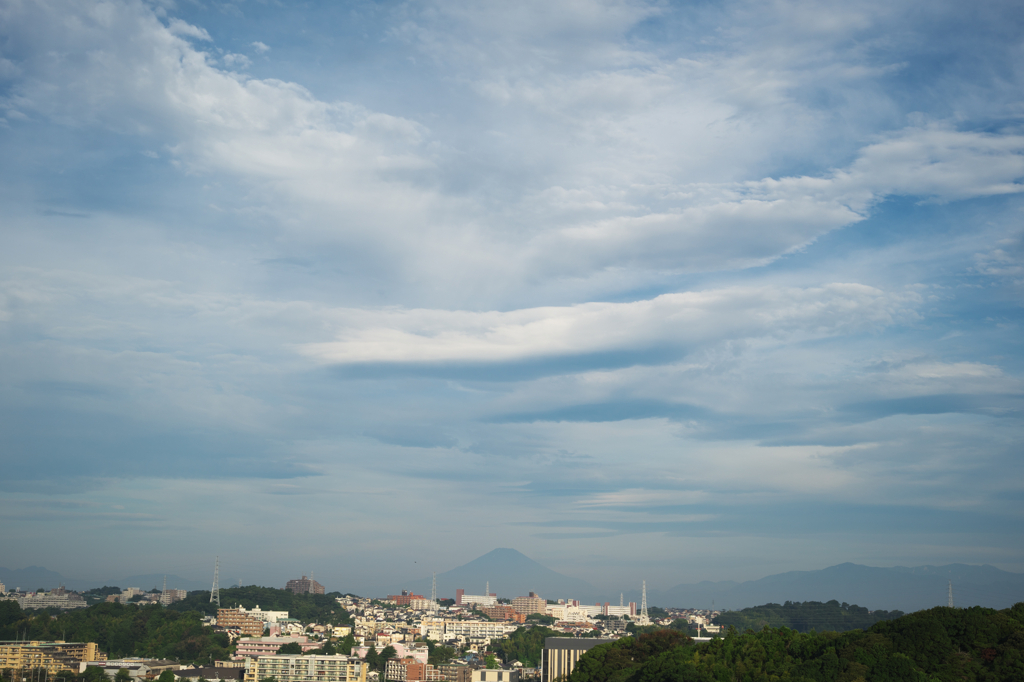 夏の朝の雲