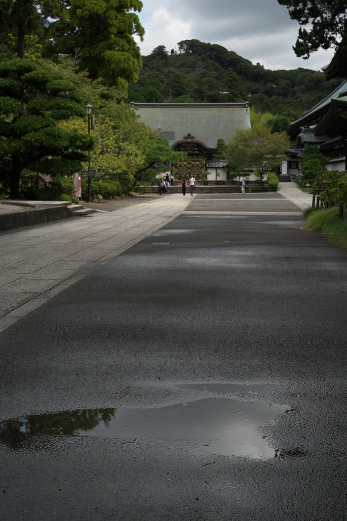 雨上がりの寺院