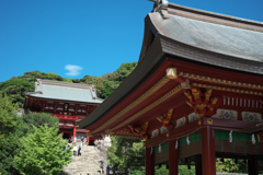 鶴岡八幡宮
