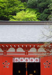 新緑の神社