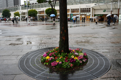 雨の桜木町駅前