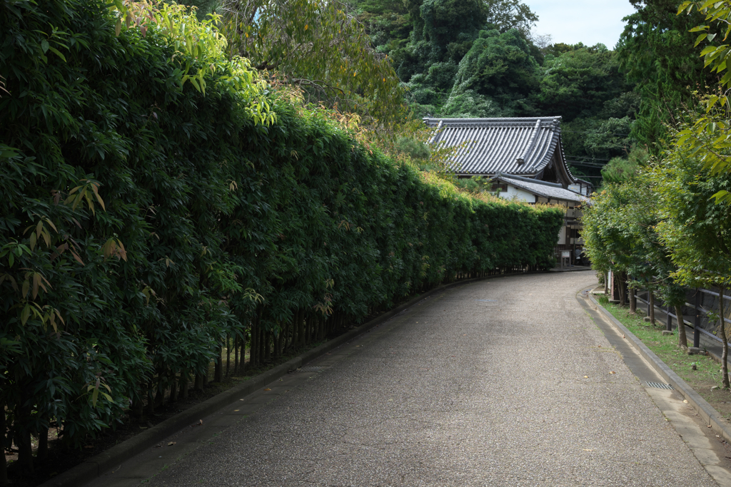 建長寺にて