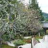 鎌倉・浄明寺