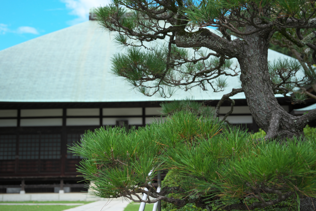 鎌倉・浄明寺