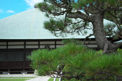 鎌倉・浄明寺