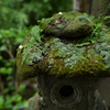 鎌倉・杉本寺