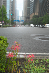 東京都心は雨