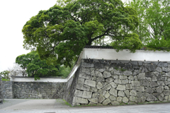 福岡城址・曇り空