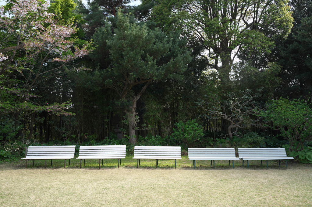 寡黙なベンチ