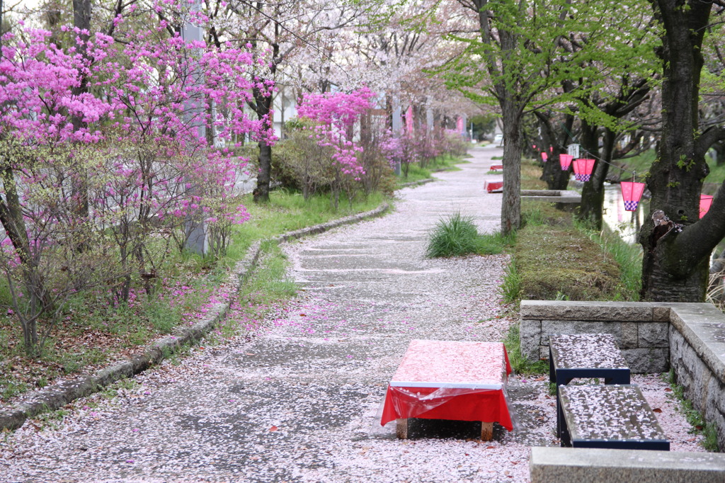 ピンクとミドリ