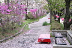 ピンクとミドリ