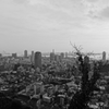 神戸の景色