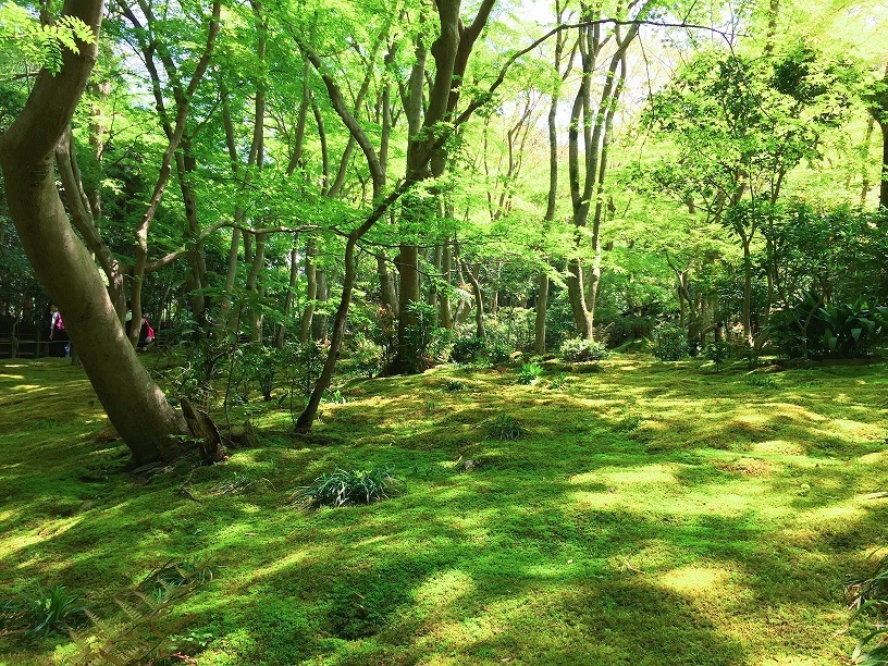 京都嵐山「祇王寺」
