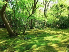 京都嵐山「祇王寺」