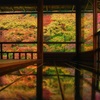 京都「瑠璃光院」