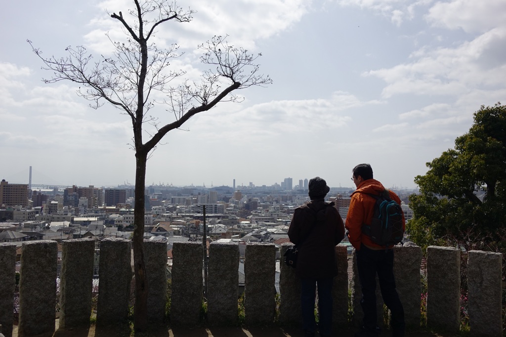 岡本梅林公園より望む