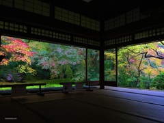 京都「瑠璃光院」 Shot on iPhone6