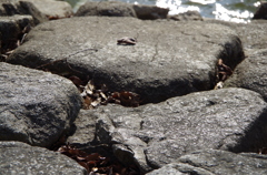 IMGP0014