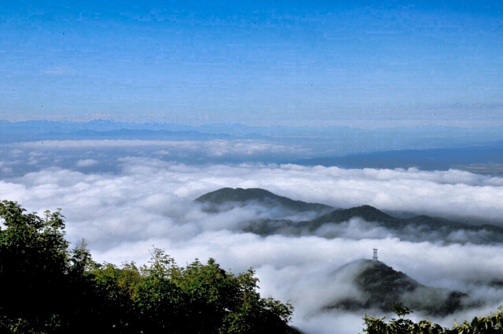 雲海