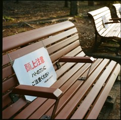 誰も座らないベンチ