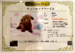 正解は・・・