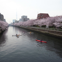 川遊び