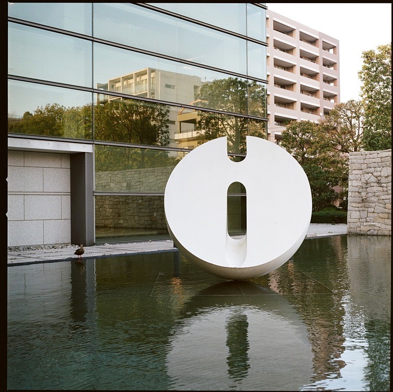 現代美術を見つめる鴨