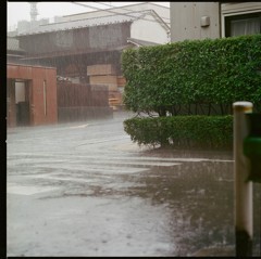 激しい雨が