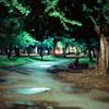 夜の公園