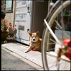 あの娘　どうしてるかな・・・