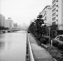遊歩道　2　事件です！！