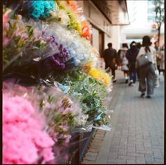 銀座花道