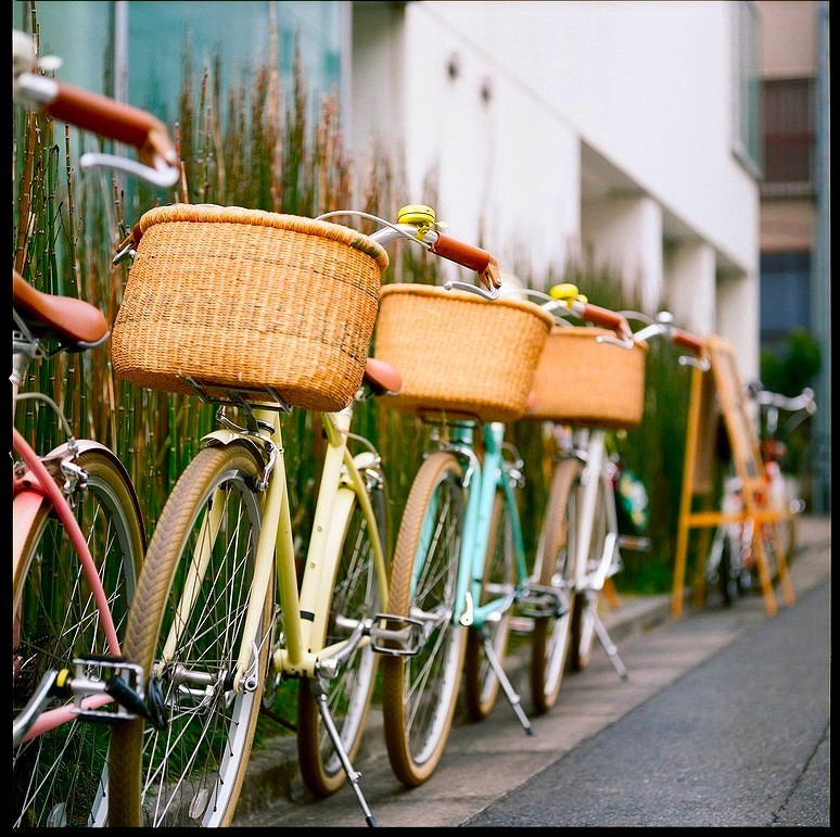 春は自転車に乗って