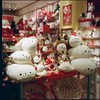 しろたん