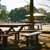 HELIOS-44M 試写 9