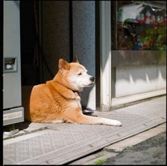 いい陽気だわ～